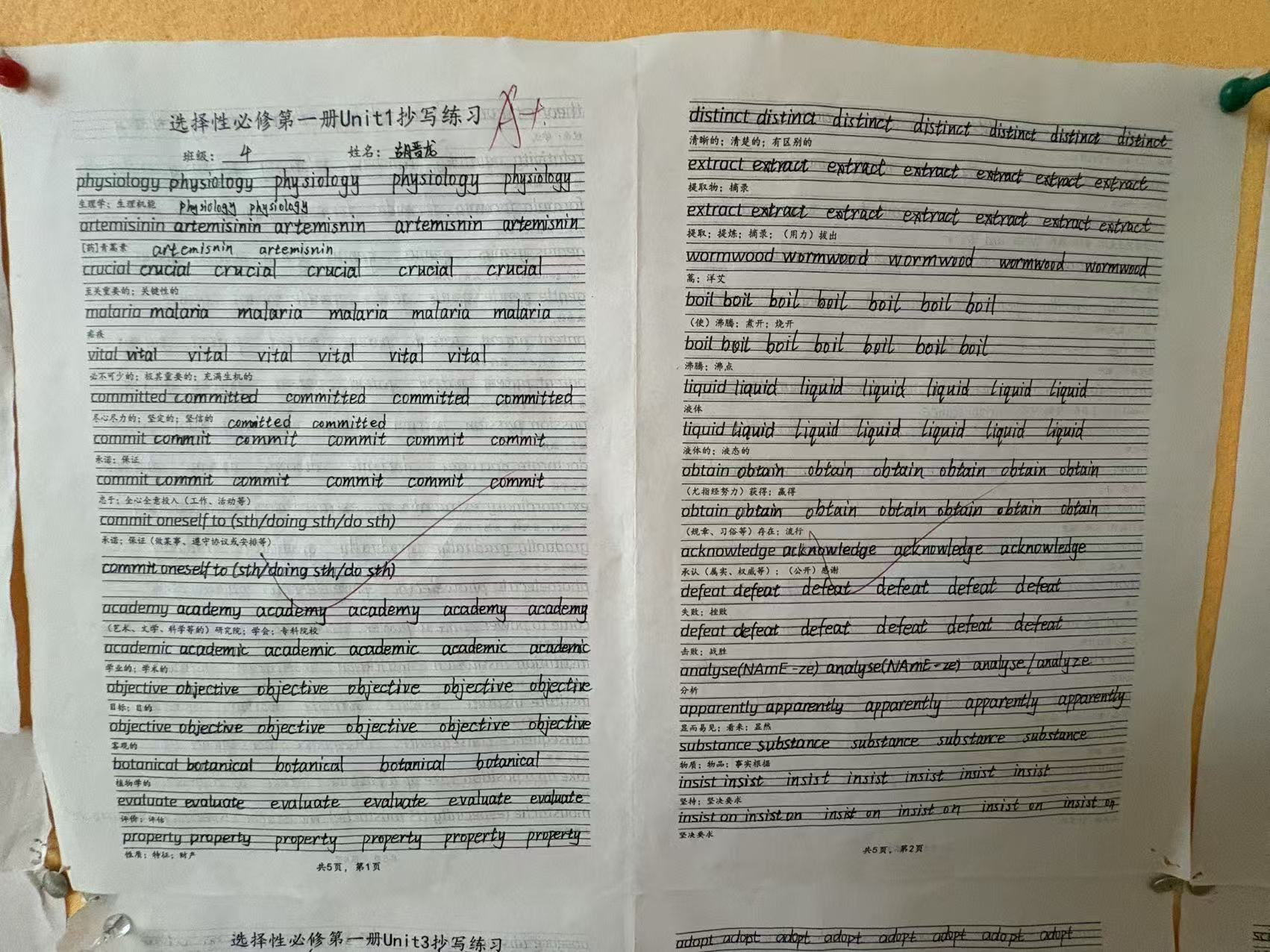 85ee356902fde1685fac3ad3d3dc0ae3 4008云顶集团|中国有限公司-官方网站